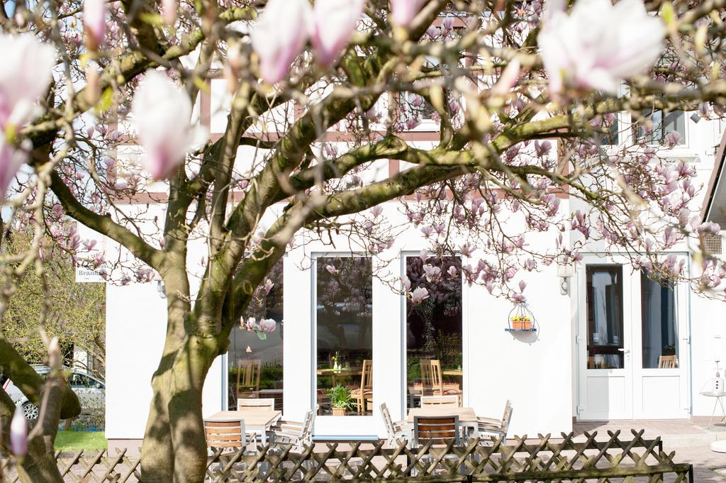 Hotel & Restaurant - Gasthaus Brandner トレンデルブルク エクステリア 写真